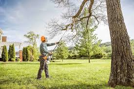 Landscape Design and Installation in Junction City, CA